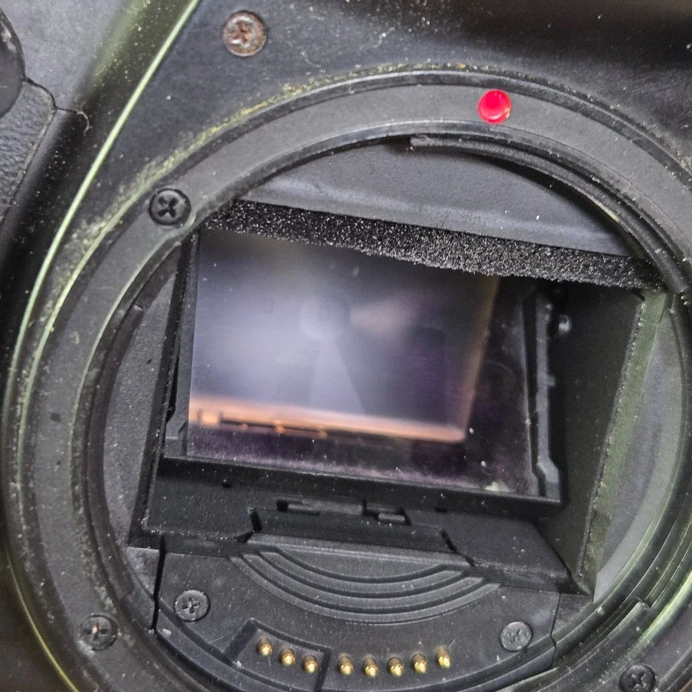 Canon put new